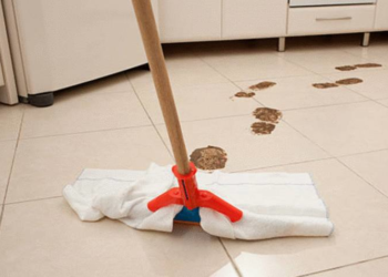 Quel produit pour nettoyer pipi chien ?