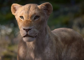 Quel est le nom de la lionne dans le Roi Lion ?