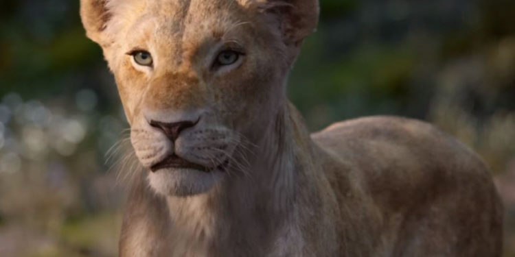 Quel est le nom de la lionne dans le Roi Lion ?