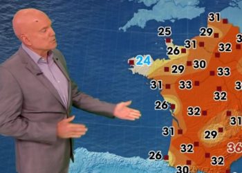 Pourquoi Kion a une cicatrice ?