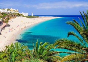 Pourquoi les îles Canaries s'appellent Canaries ?