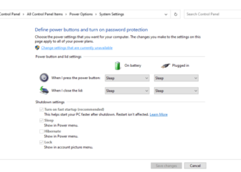 Est-ce que le fennec est rapide ?