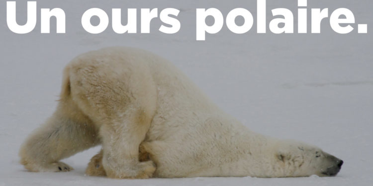 Comment Appelle-t-on les gens qui n'aiment pas qu'on les touche ?