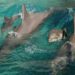 Comment sont les bébés dauphins ?