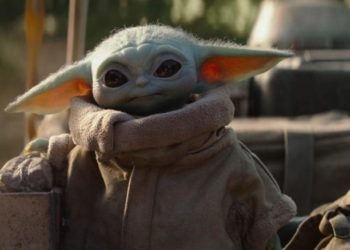 Quel est le nom du bébé dauphin ?