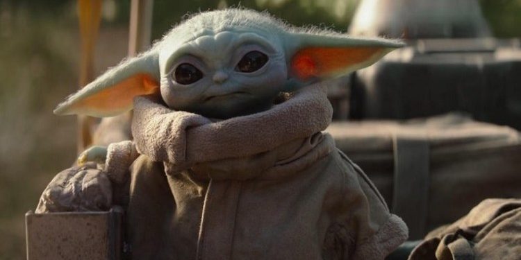 Quel est le nom du bébé dauphin ?