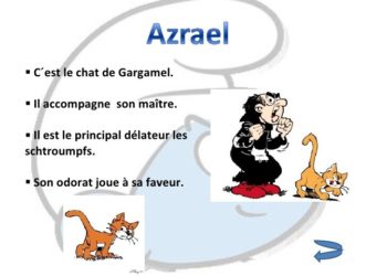 Comment s'appelle le chat le chat de Gargamel ?