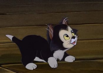 Comment s'appelle le chat de Disney ?