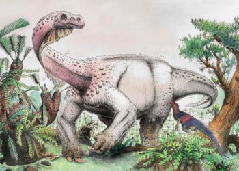 Quel est le dinosaure le plus nul ?