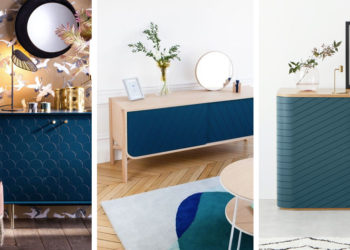 Où trouver un Ara bleu ?