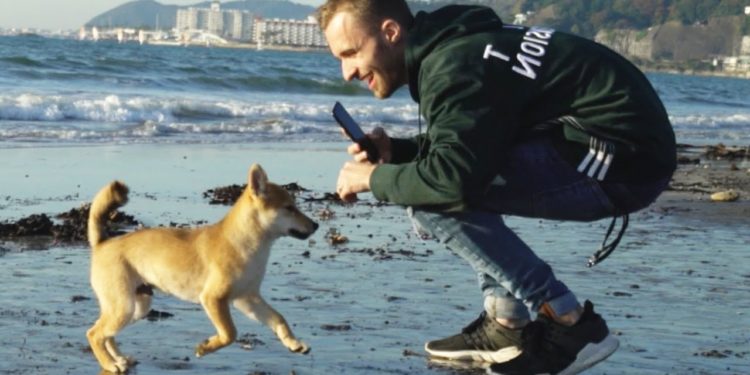 Quelle est la race du chien de Michou ?