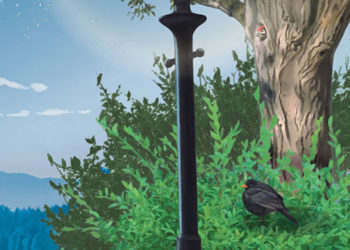 Où dorment les biches en hiver ?