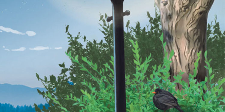 Où dorment les biches en hiver ?