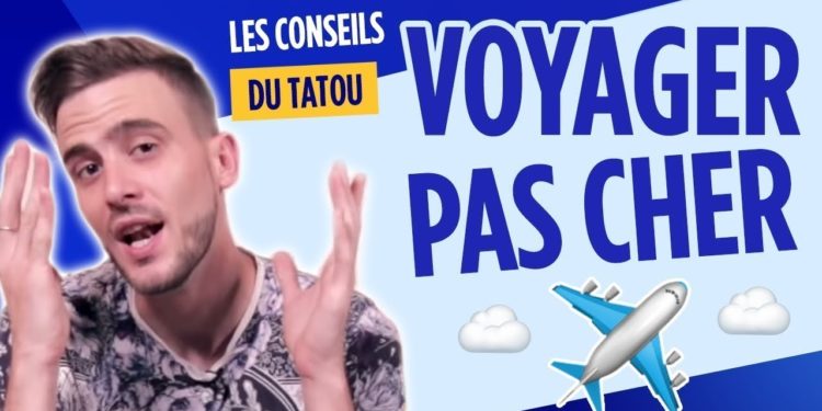 Comment décrire le tatou ?