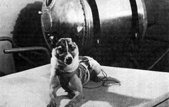 Quel est le premier être vivant dans l'espace ?