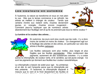 Quelle couleur commence par Z ?