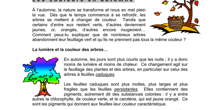 Quelle couleur commence par Z ?