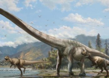 Comment s'appelle le grand dinosaure ?