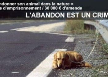 Comment sauver les animaux PUF ?