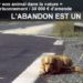 Comment sauver les animaux PUF ?
