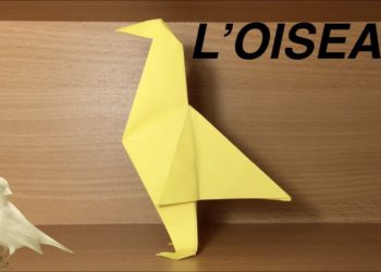 Comment faire revivre un oiseau ?