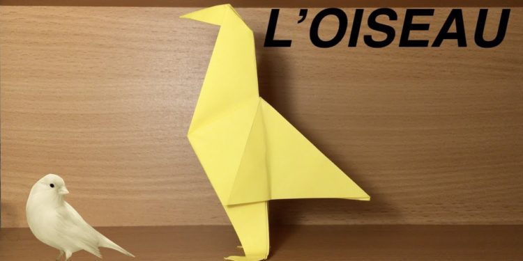 Comment faire revivre un oiseau ?