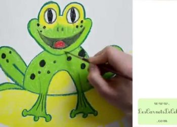 Comment garder une petite grenouille ?