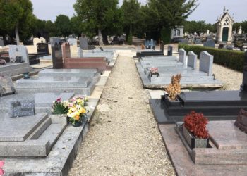 Est-ce qu'une tique tombe toute seule ?