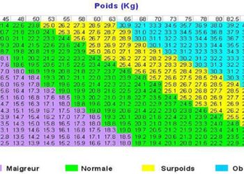 Comment savoir le poids adulte d'un Yorkshire ?