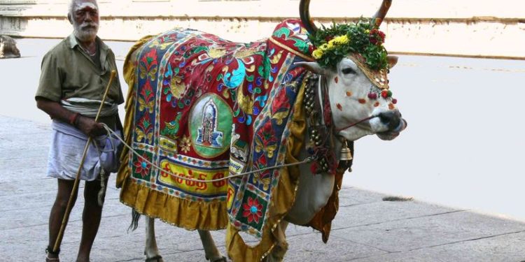 Quel est l'animal sacré en Chine ?