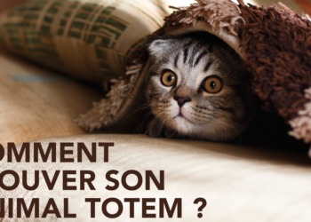 Comment savoir si mon animal totem est le loup ?