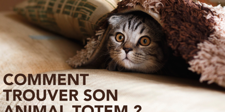 Comment savoir si mon animal totem est le loup ?