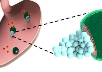 Comment soigner une bactérie dans l'estomac ?