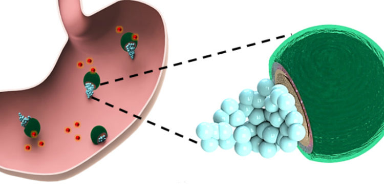 Comment soigner une bactérie dans l'estomac ?