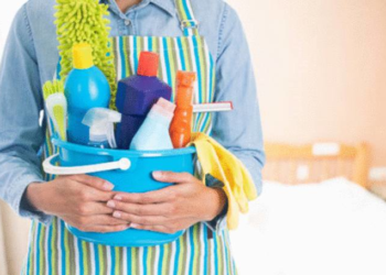 Quel désinfectant utilisé pour un chat ?