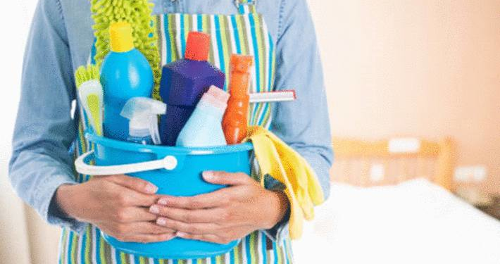 Quel désinfectant utilisé pour un chat ?