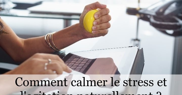 Comment calmer le stress d'un lapin ?