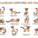 Comment parler le langage des chats ?