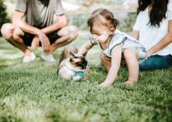 Est-ce que mon chat sent que je suis enceinte ?