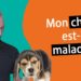 Pourquoi mon chien se racle la gorge ?