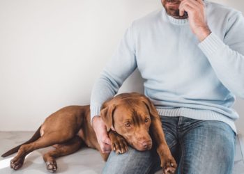 Comment reconnaître un chien qui respire mal ?