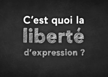 C'est quoi la Demodecie ?