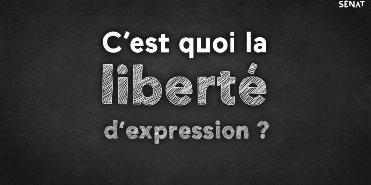 C'est quoi la Demodecie ?
