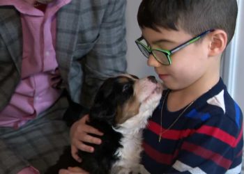 Comment reconnaître un chien autiste ?