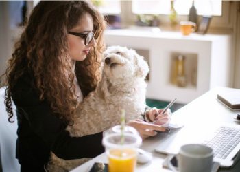 Pourquoi mon chien me suit partout dans la maison ?