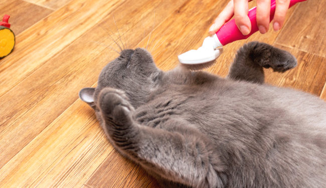 Est-ce normal d'avoir des pellicules ?