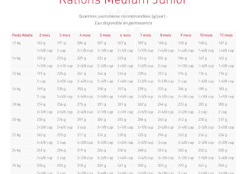 Quelle quantité de nourriture pour un chiot berger allemand ?