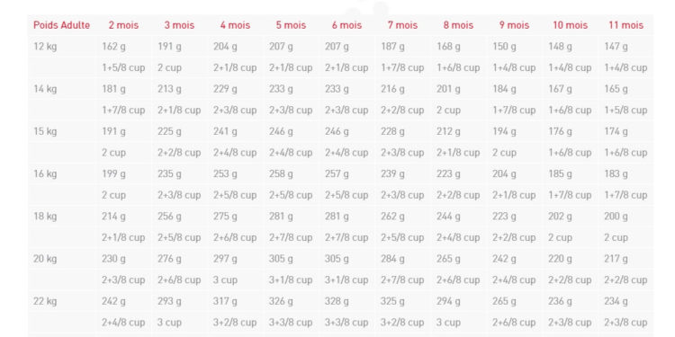 Quelle quantité de nourriture pour un chiot berger allemand ?