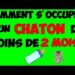 Comment éduquer un chaton de moins de 2 mois ?