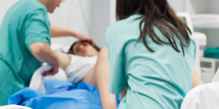 Comment déclencher l'accouchement d'un chat ?